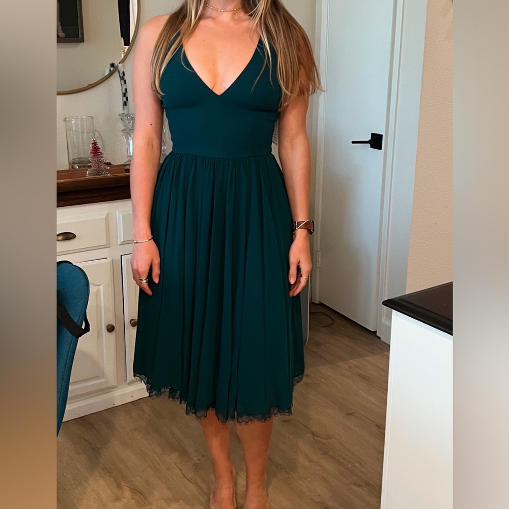 BNWT dress the population dress